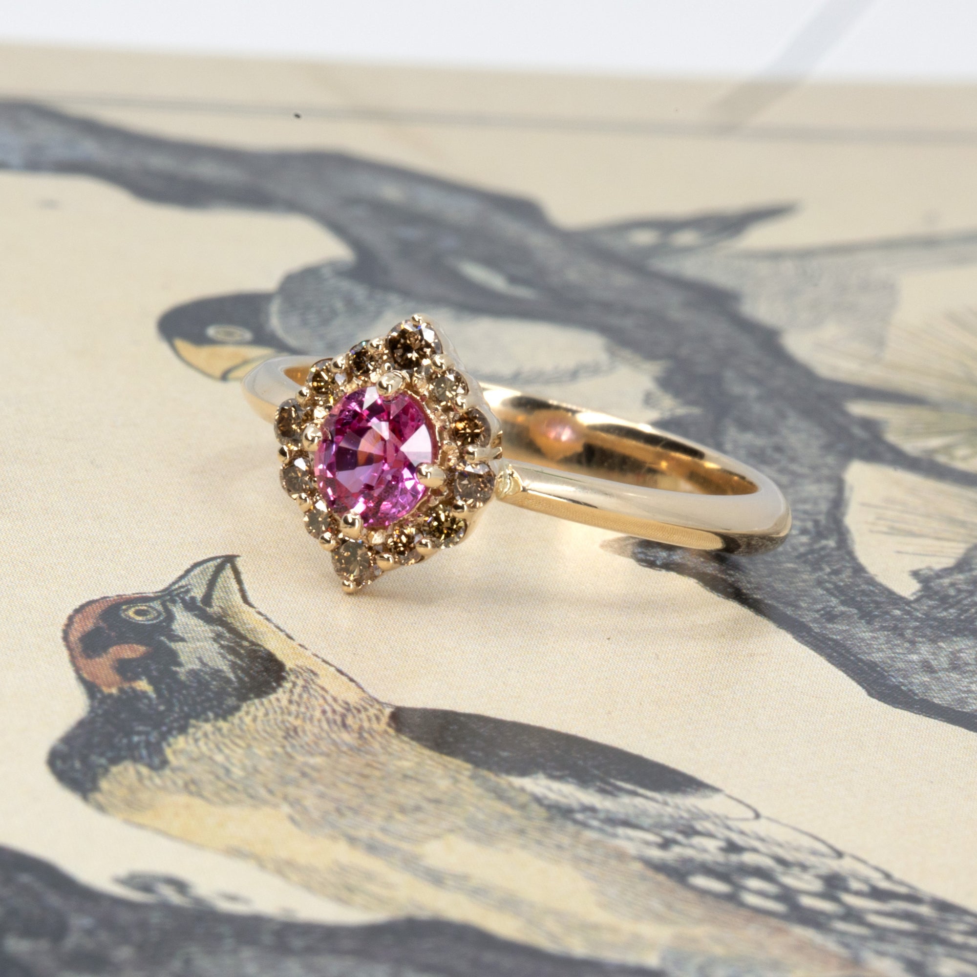 Lifestyle image of yellow gold ring with pink sapphire and brown diamonds by Bena Jewelry, photographed in Montreal with a colorful styled setting.