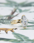 MOVAL DIAMOND HALF BEZEL | Yellow Gold