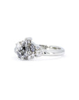 SALT PEPPER DIAMOND AVALANCHE RING | White Gold